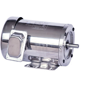Asynchronous motor - Jiang Su Weiteli Motor Co.,Ltd - three-phase / squirrel cage / stainless steel