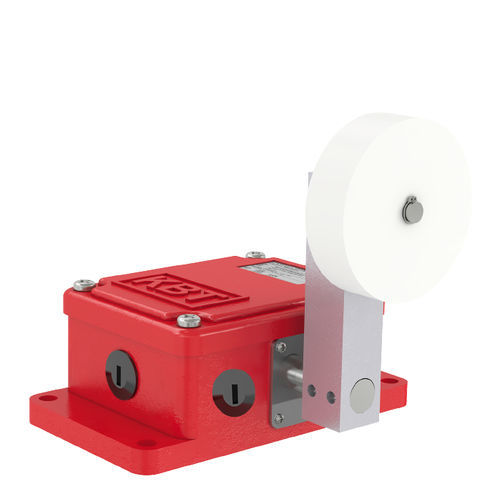 IP65 position switch - NSR11-PS series - KBT Elektrik - safety / industrial