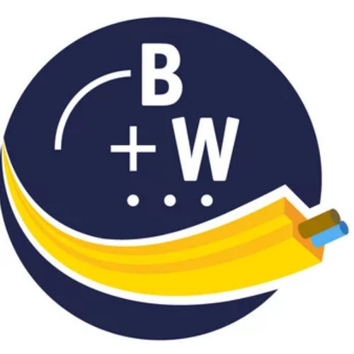 Measurement software BW2916 Bihl+Wiedemann GmbH control