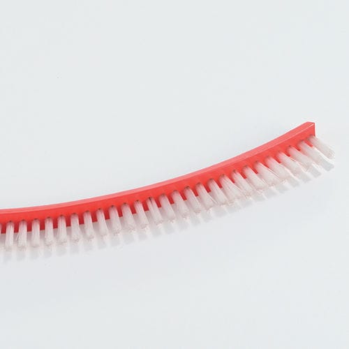 Belt brush - CNTP/Z - Torino Spazzole Industriali Srl - cleaning / conveying / polyester