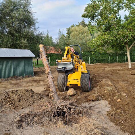 Excavator ripper tooth - 20099230 - Gebroders geens