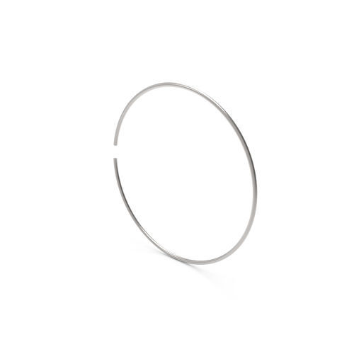 Retaining ring - ISO100RR-304 - VACOM
