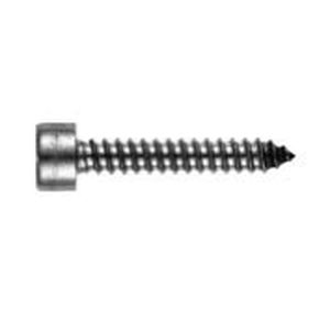 Screw with hexagonal head - L 9052 - Lederer - hex socket