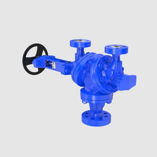 leser safety valve supplier