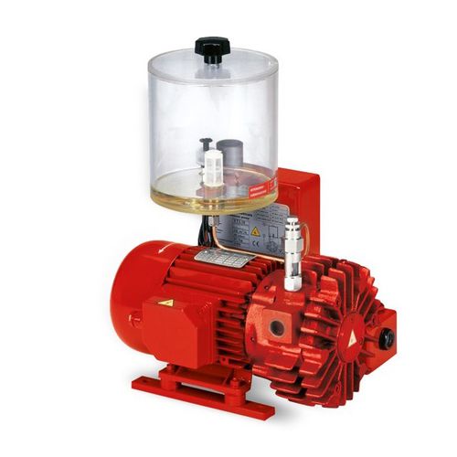 带直通润滑的真空泵