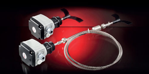 Rotary paddle level switch - RL-A series - AECO - for bulk materials / ATEX / IP66