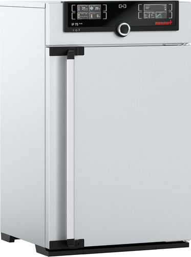 Laboratory incubator - IF75plus - Memmert GmbH + Co. KG - forced convection / digital