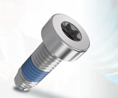 Safety screw - ThreadLoc - Arnold Umformtechnik GmbH & Co. KG - joining / cylindrical head