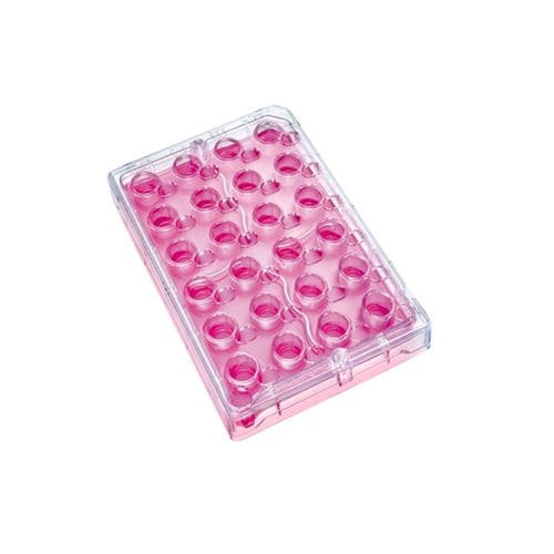 24-well microplate - Millicell®24 - Merck Millipore - for cell cultures / sterile
