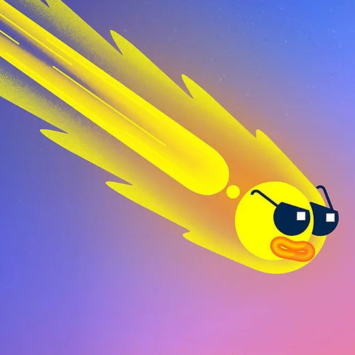 Creation software - Animate - ADOBE - design / animation / augmented reality