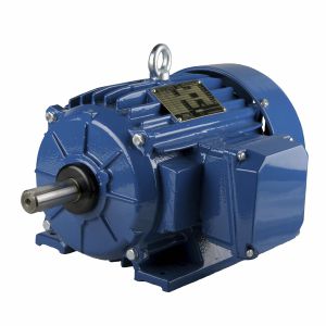 NEMA motor - ESg184T-8 - Cantoni Motor - induction / three-phase / 460 V