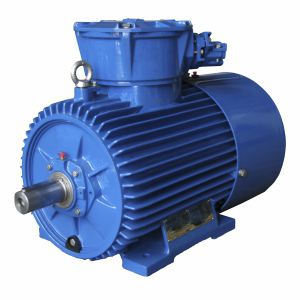 Synchronous motor - dSg160M6-EP - Cantoni Motor - three-phase / 1000 V / cast iron