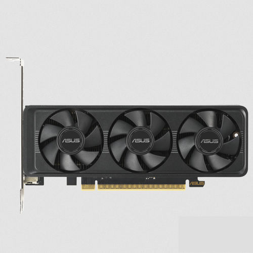 PCI Express graphics card - RTX5060-8G-LP-BRK - Asus - NVIDIA GeForce / DisplayPort / HDMI