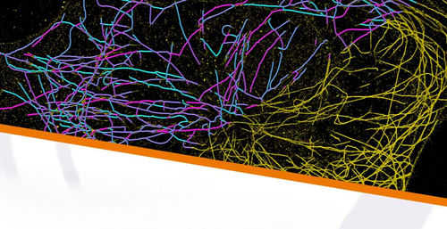 Creation software solution - Imaris 10.0 - Andor Technology - tracing / training / machine learning