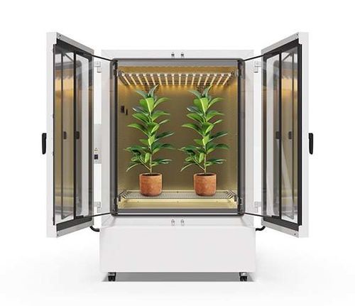 Plant growth chamber - KBF PRO - BINDER - on casters