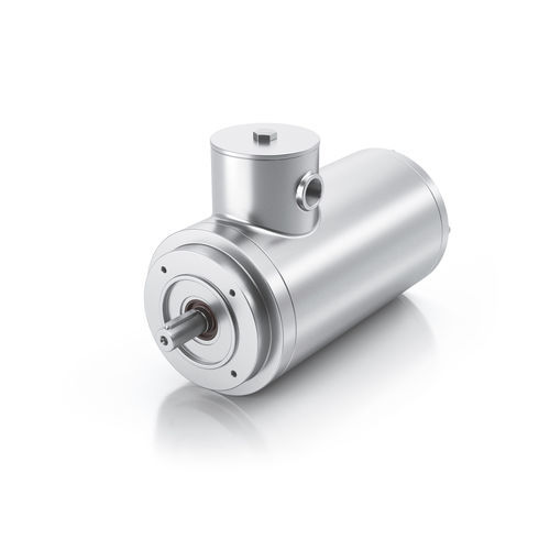 Asynchronous motor - N - Rehfuss Drive Solutions GmbH - stainless steel / frequency