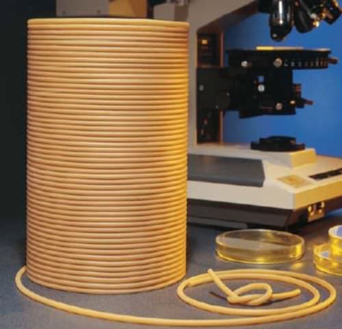 Foodstuff hose - Versilon™ GA  - Saint-Gobain Performance Plastics - Process System - natural rubber / transfer / cleaning