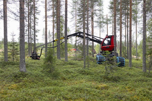 Rubber-tired forestry harvester - 901XC-7 - KOMATSU Forest