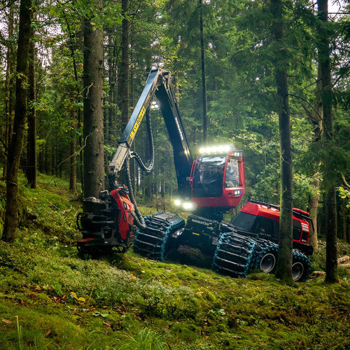 Wheeled forestry harvester - 951XC - KOMATSU Forest