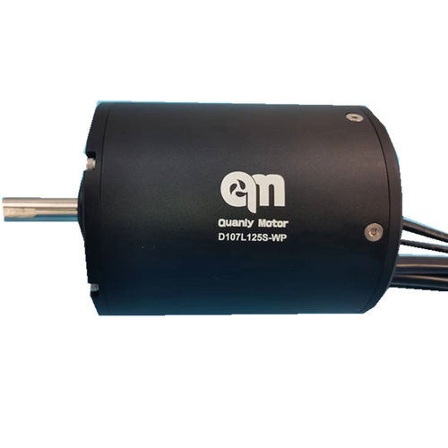 BLDC motor - D107L125-WP - Dongguan Tengfei Power Technology Co., Ltd. - DC / 20 V / 80 V