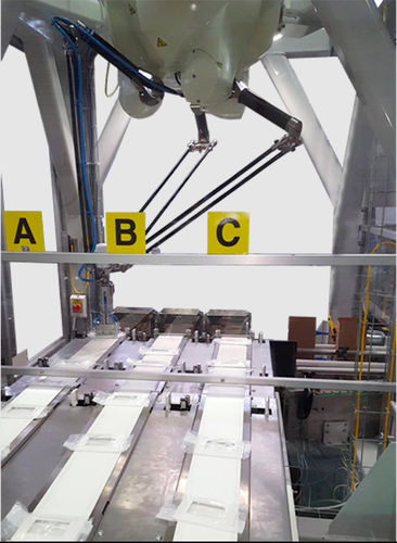 Delta robot - Zambelli S.r.l. - handling / packaging / pick-and-place