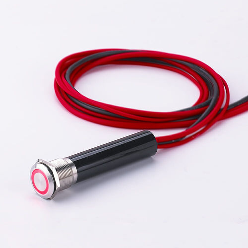 Vandal-proof switch - L19Y - YUEQING DANPU ELECTRIC ( LANGIR ) CO.,LTD. - touch / single-pole / robust