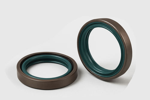Lipped seal - SHIJIAZHUANG RUISUO SEAL SUPPLIES CO.,LTD - rubber / FKM / circular
