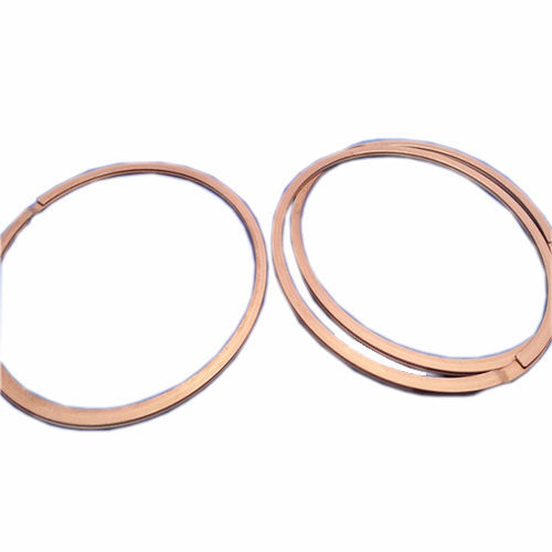 Bearing unit sealing ring - FK5 ASKD - Zhejiang Lisheng Spring Co., Ltd. - cast iron / plastic / steel