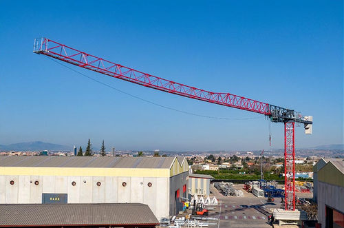 Truck-mounted crane - TLS 60 14 - Gruas Saez - tower / for construction / lifting
