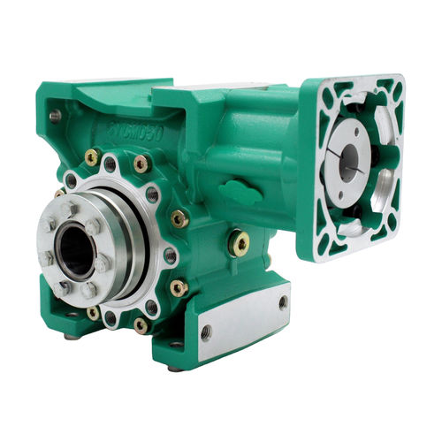 Worm gearbox - CYCM50 - Chenyue (Jiangsu) Technology Co., Ltd. - right angle / solid-shaft / dual-shaft