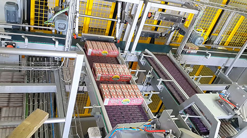 Belt conveyor - Technica International - vertical / transport / component