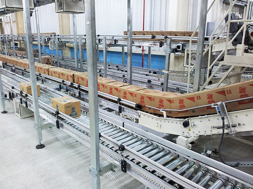 Roller conveyor - Technica International - chain / pneumatic / hinged