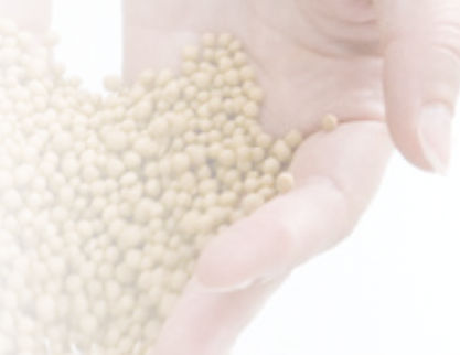 Food sieve - Arkema France S.A. - for food applications / for pharmaceutical applications