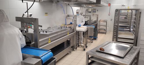 Continuous industrial fryer - jose miguel sardinero blanco ( jsbmachinery) - vegetable / for snacks / meat