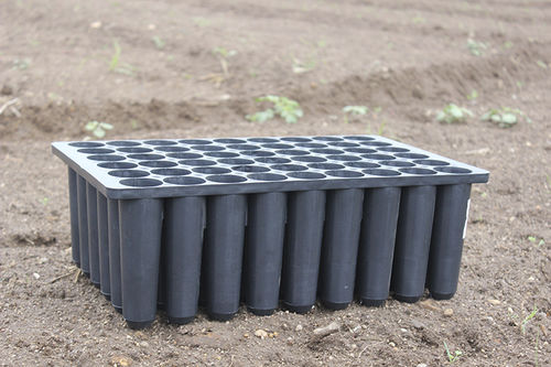 Plastic tray - Magnusberry