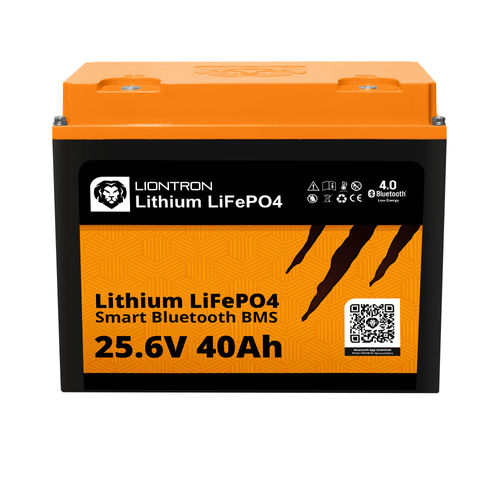 LiFePO4 battery - LISMART2440LX  - Liontron Ltd. - M6 / CE / IP65