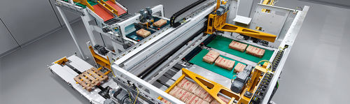 Palletizer with stacker - paletpac® - BEUMER Group GmbH & Co.KG - for granulates / handling / automatic