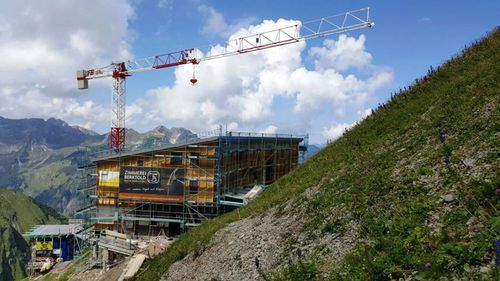 Tower crane - GHS 351 - F.B. F.lli Butti S.r.l. - fixed / building