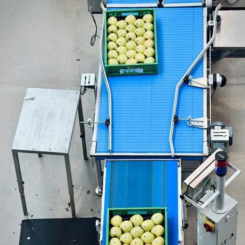 Sorting and feeding line - rails