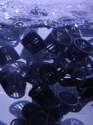 Moving bed biofilm reactor - MBBR - SFC Umwelttechnik GmBH - for wastewater treatment / for industry / fully automated