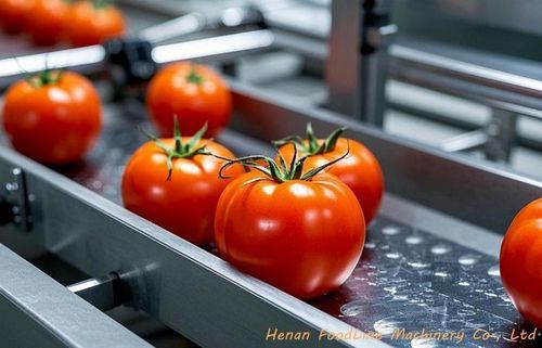 Sorter for the food industry - Henan Hongtu Machinery Manufacturing Co., Ltd. - for agricultural applications / color / optical