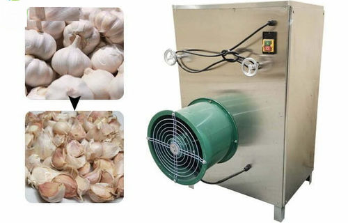 Chili pepper vegetable processing line - Henan Hongtu Machinery Manufacturing Co., Ltd. - onion / washing / sorting