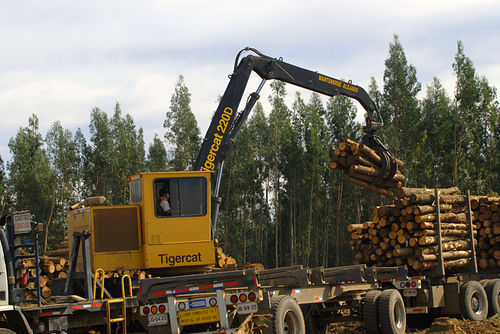 摇臂式日志装载机