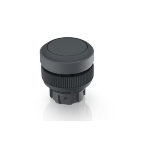 Spring push-button switch - RAFIX 22 QR series - RAFI GmbH & Co. KG - IP65 / panel-mount / momentary