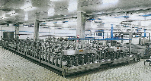 Pneumatic press - Magnabosco - for molding / for production