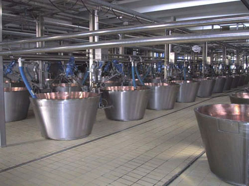 Cheese vat - Magnabosco
