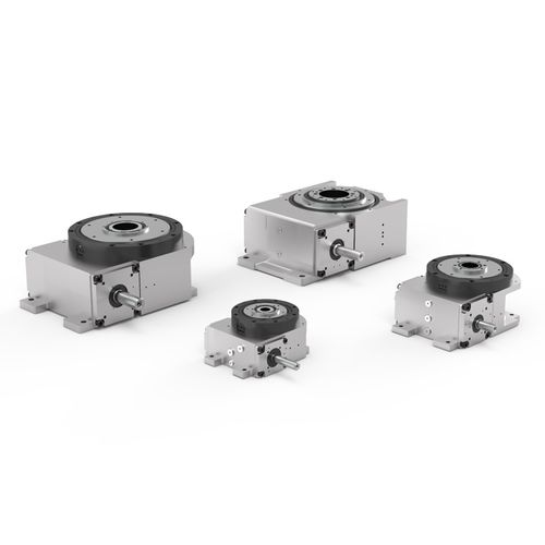 Globoidal cam rotary indexing table - RIGP series - COLOMBO FILIPPETTI - motor-driven / horizontal / for machine tools