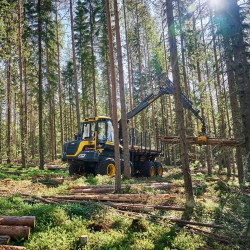 Forestry forwarder - New Wisent - PONSSE