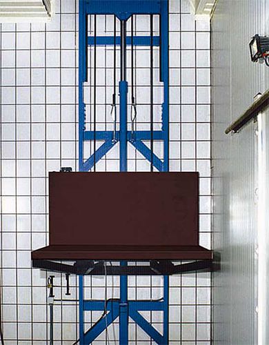 Hydraulic goods lift - EDPH - EURODOCK - column type
