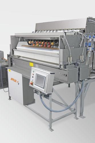 Dynamic weighing machine -  AVN 114-CWxxEVA - Affeldt Maschinenbau GmbH - for the food industry